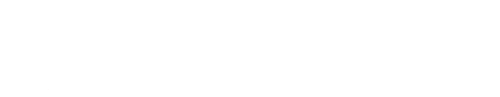 Cao đẳng Bách Nghệ Hà Nội